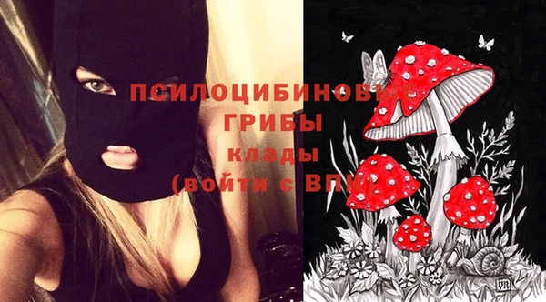 прущие крисы Майский