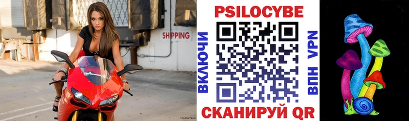 Купить  Кропоткин  Галлюциногенные грибы Psilocybe 